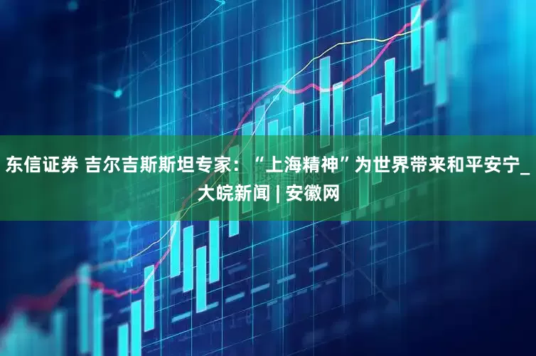 东信证券 吉尔吉斯斯坦专家：“上海精神”为世界带来和平安宁_大皖新闻 | 安徽网