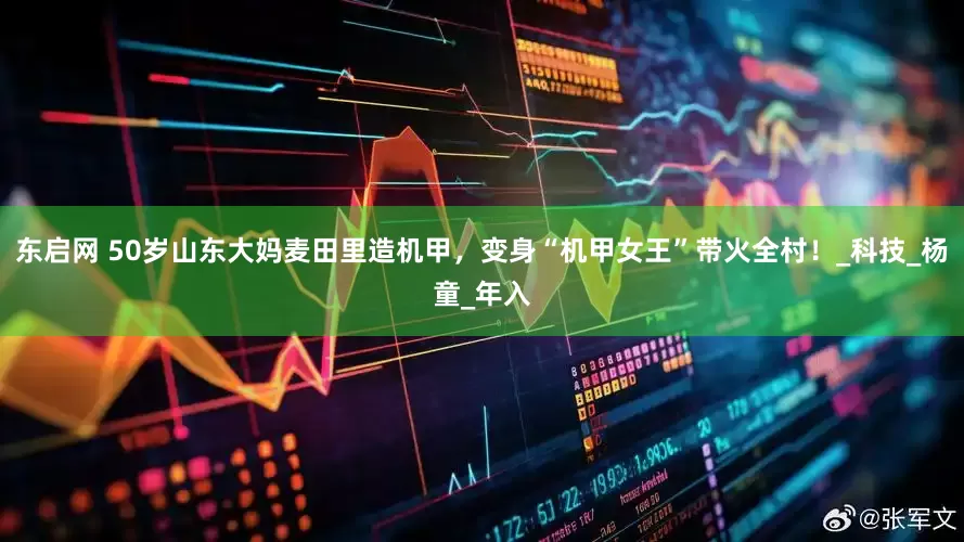 东启网 50岁山东大妈麦田里造机甲，变身“机甲女王”带火全村！_科技_杨童_年入