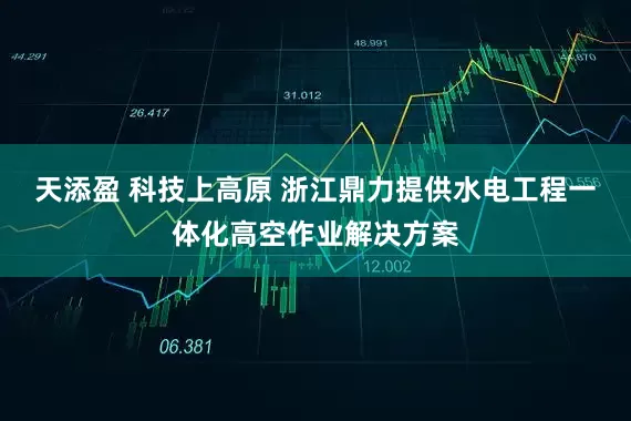 天添盈 科技上高原 浙江鼎力提供水电工程一体化高空作业解决方案