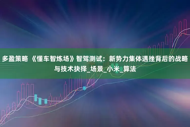 多盈策略 《懂车智炼场》智驾测试：新势力集体遇挫背后的战略与技术抉择_场景_小米_算法
