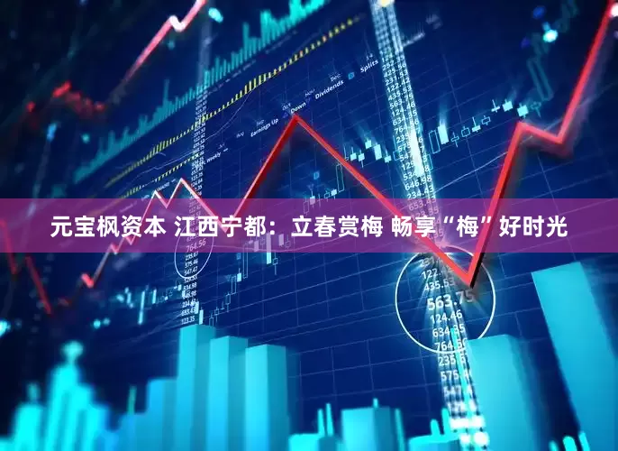 元宝枫资本 江西宁都：立春赏梅 畅享“梅”好时光
