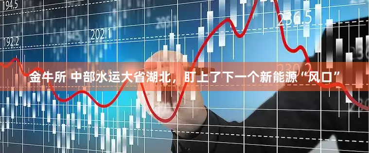 金牛所 中部水运大省湖北，盯上了下一个新能源“风口”