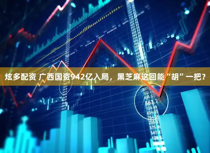 炫多配资 广西国资942亿入局，黑芝麻这回能“胡”一把？